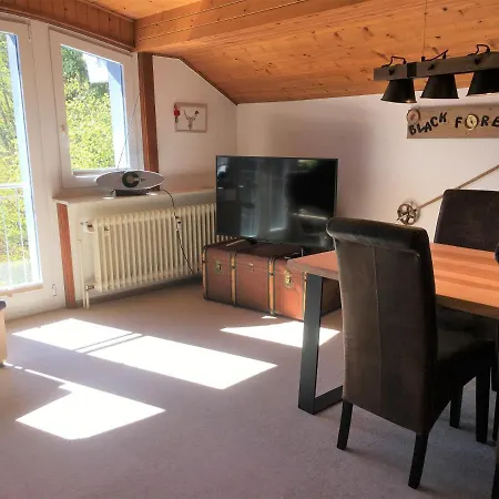 Fewo Feldbergstern Apartment Feldberg (Baden-Wurttemberg)